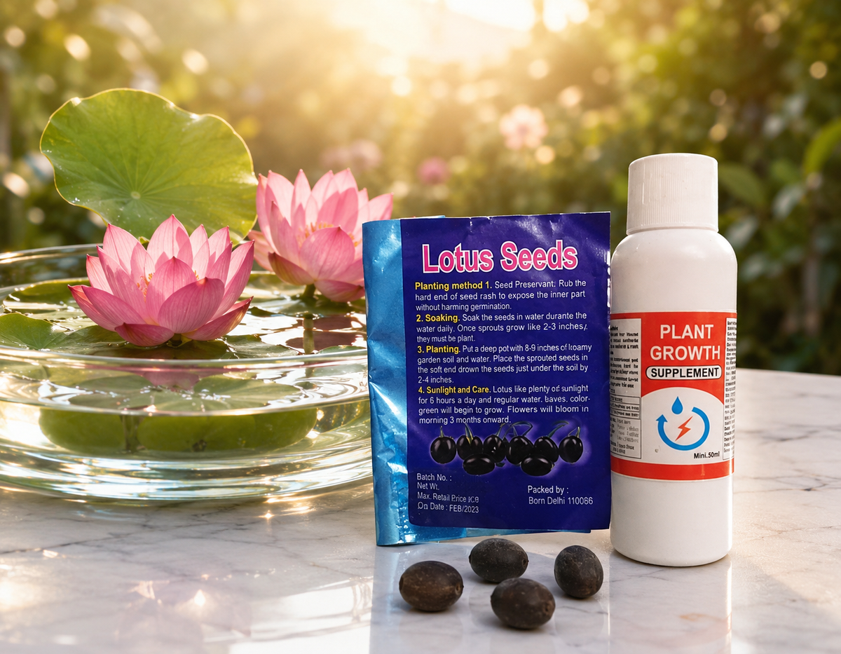 Lotus Flower Seeds with Plant Growth Supplement Kit 20pcs(Pack of 1)